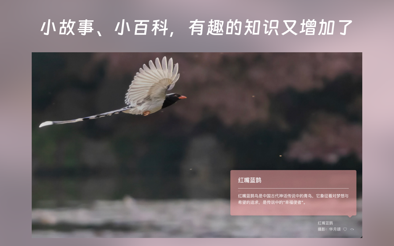 在云端 - AI 阅读助手 chrome谷歌浏览器插件_扩展第4张截图