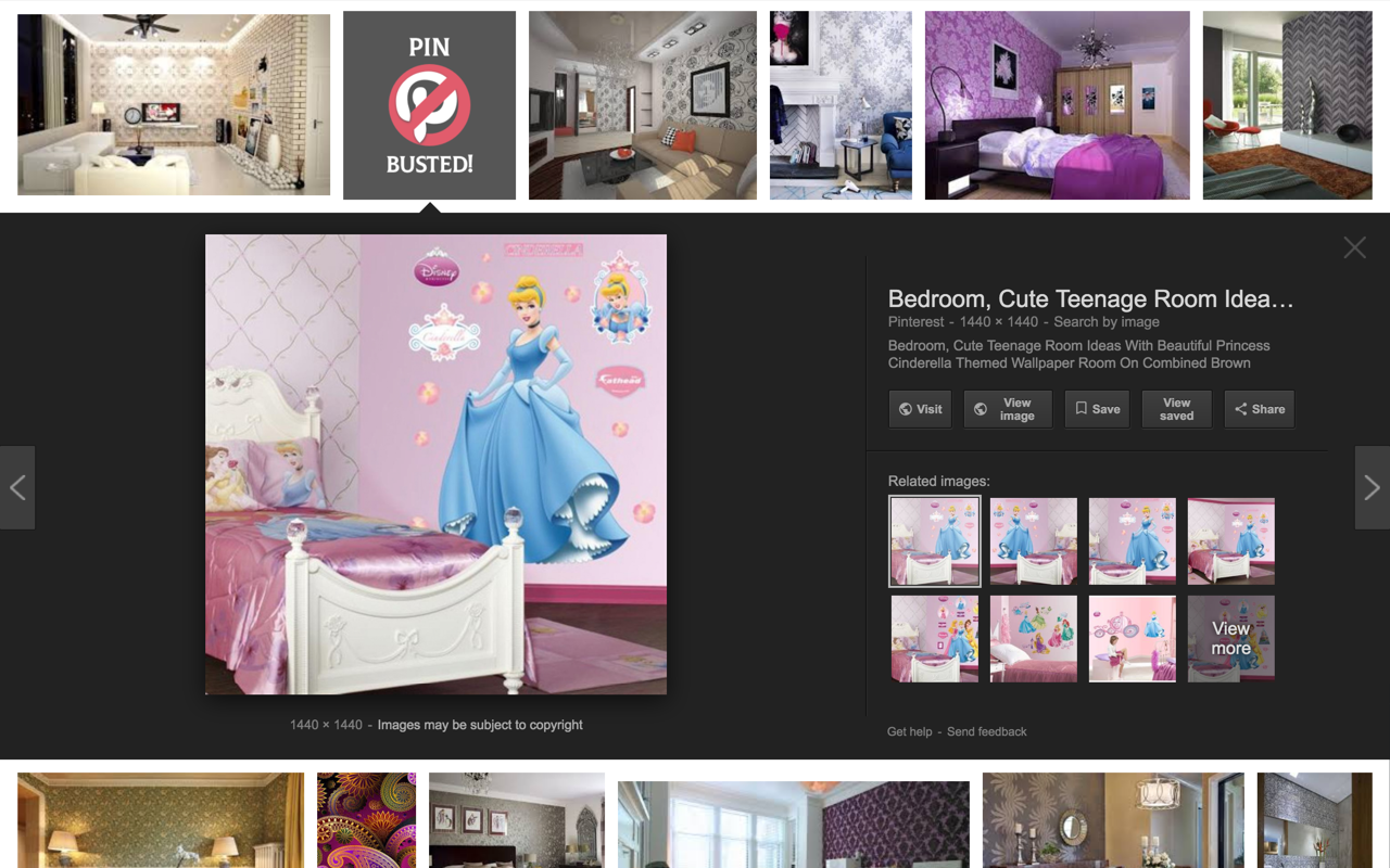 PINBUSTERS chrome谷歌浏览器插件_扩展第1张截图