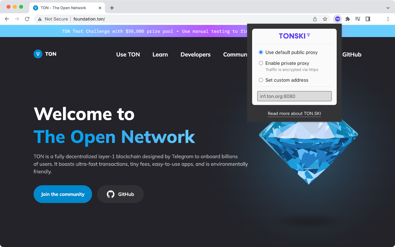 TON.SKI chrome谷歌浏览器插件_扩展第1张截图