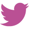 Maeve's Twitter Link Fixer