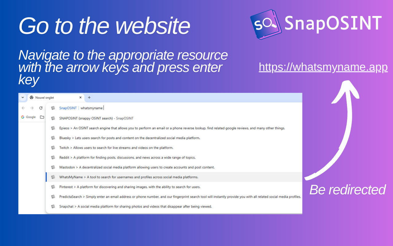 SnapOSINT chrome谷歌浏览器插件_扩展第4张截图