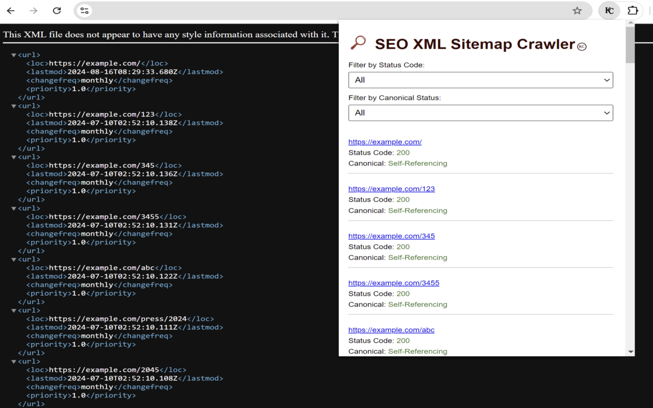 SEO XML Sitemap Crawler (Status Code & Canonical Tag) chrome谷歌浏览器插件_扩展第3张截图