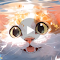 Underwater Cat Video Wallpaper