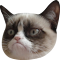 grumpify