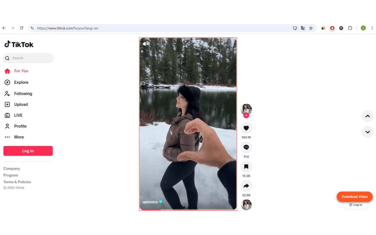 Video Downloader for Social Media chrome谷歌浏览器插件_扩展第5张截图