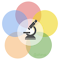 WebRTC Development
