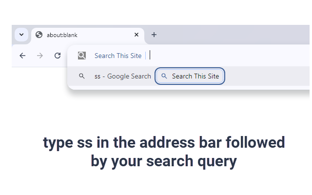 Search This Site chrome谷歌浏览器插件_扩展第2张截图
