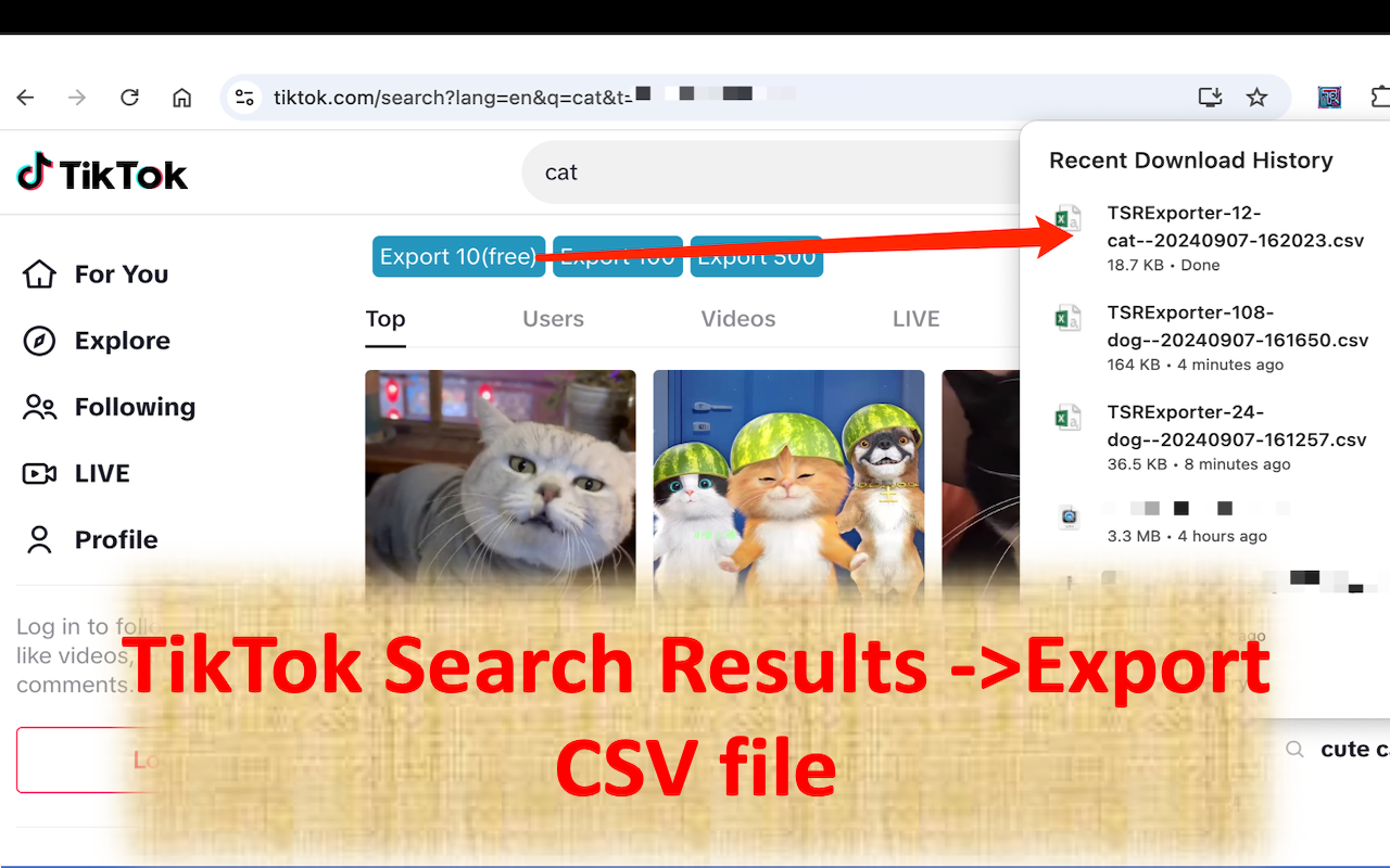 TSRExporter - Tiktok Search Results Exporter chrome谷歌浏览器插件_扩展第2张截图