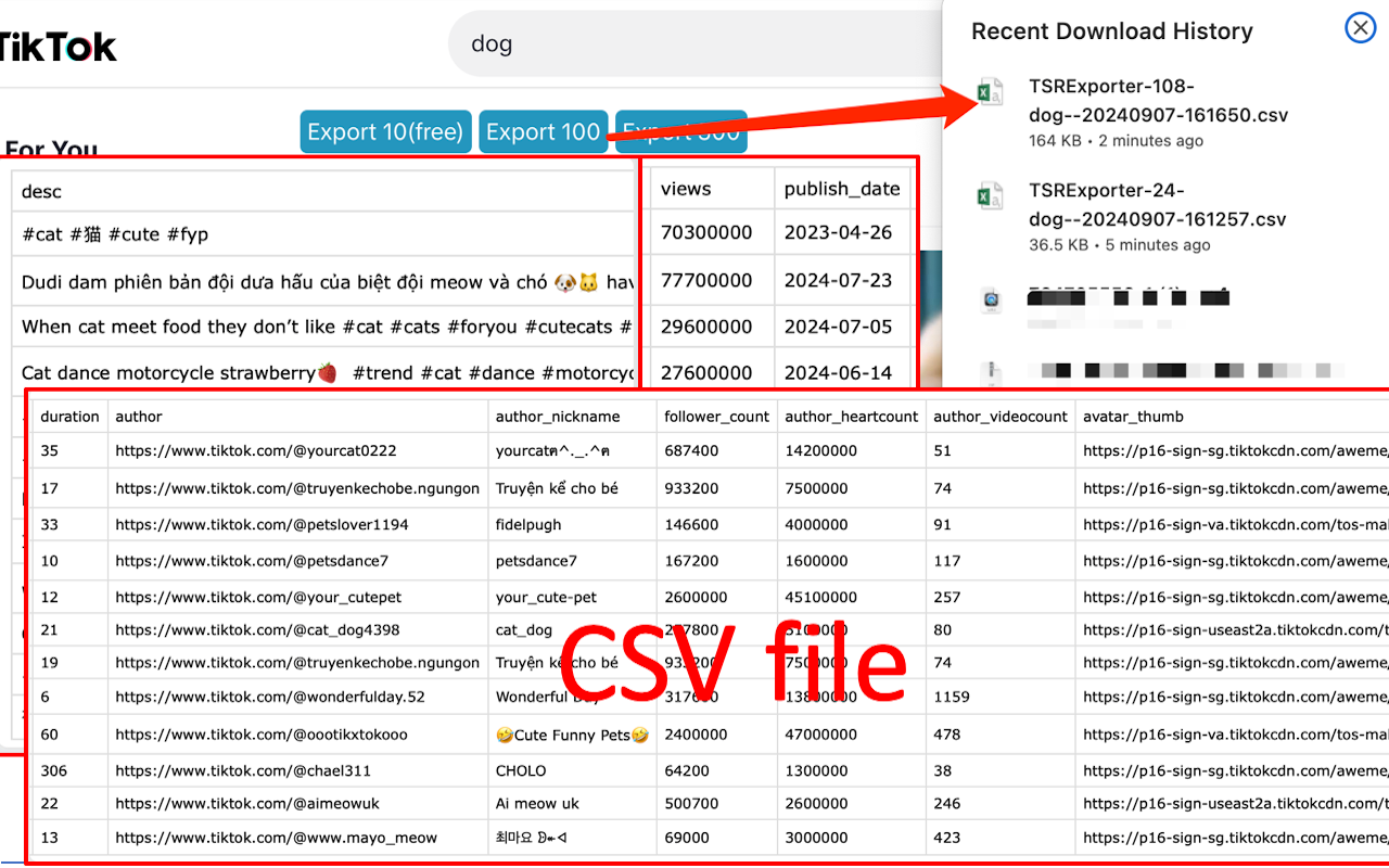 TSRExporter - Tiktok Search Results Exporter chrome谷歌浏览器插件_扩展第3张截图