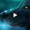 Aurora Borealis Wolf Live Wallpaper