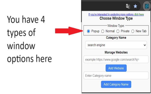 Search Tool chrome谷歌浏览器插件_扩展第5张截图