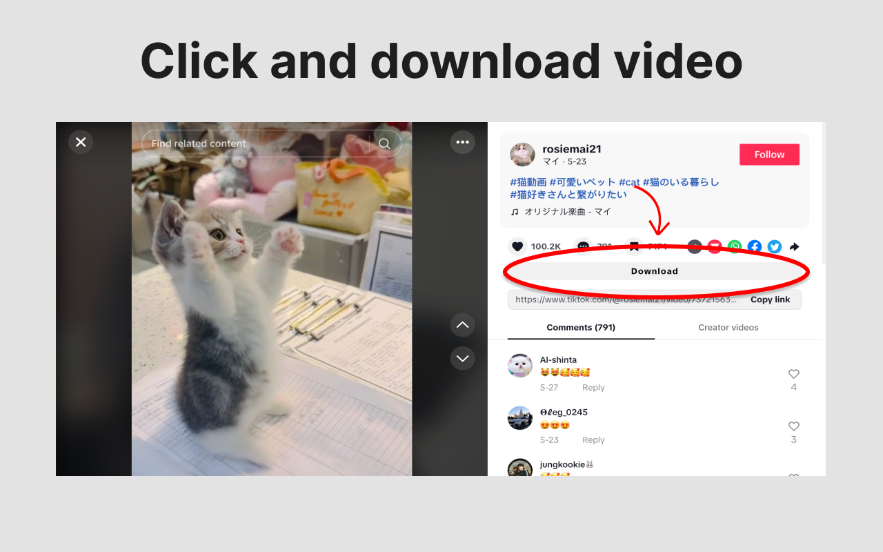 Download TikTok Video | 下载 Tiktok 视频 chrome谷歌浏览器插件_扩展第1张截图