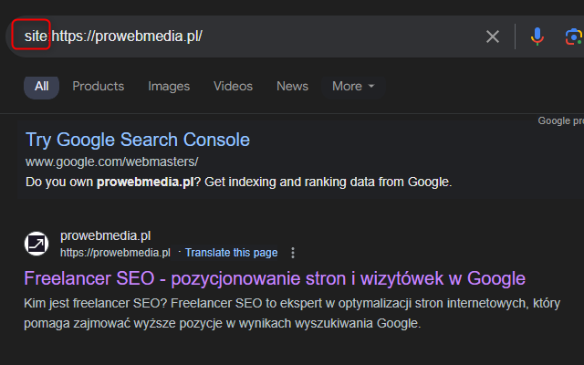 Google Indexing Checker chrome谷歌浏览器插件_扩展第2张截图