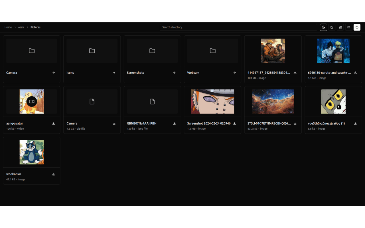 Files Explorer chrome谷歌浏览器插件_扩展第1张截图