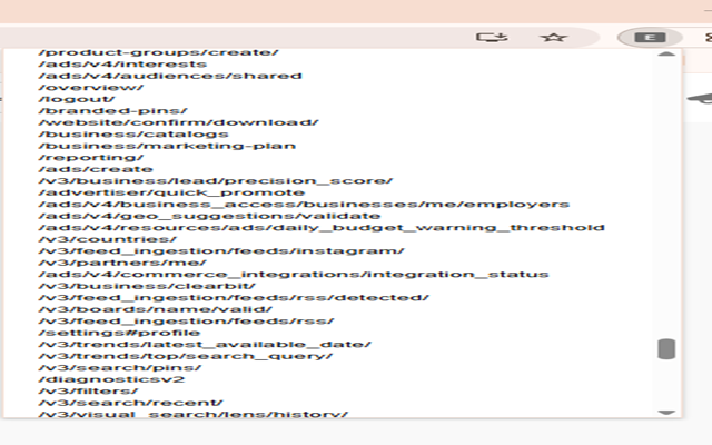 Endpoint Extractor chrome谷歌浏览器插件_扩展第1张截图