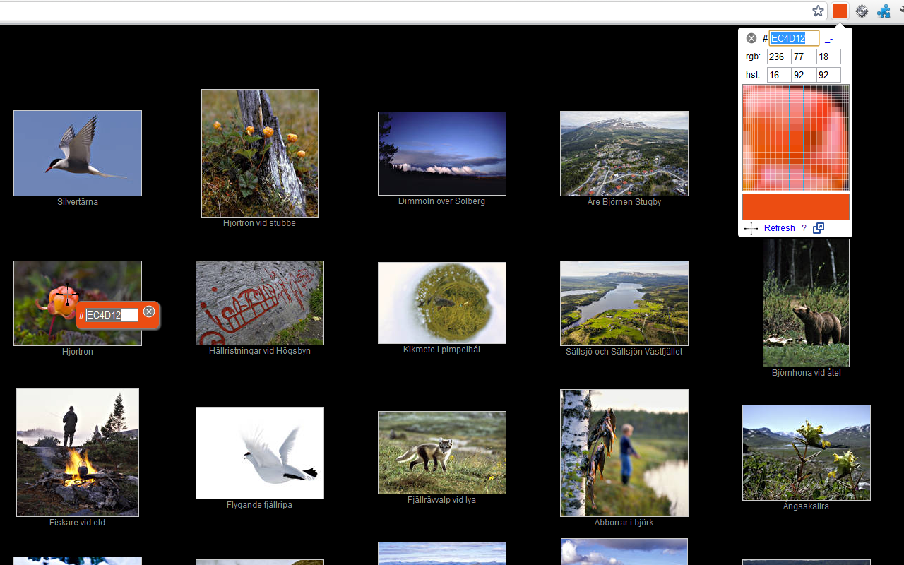 ColorPick Eyedropper (V3) chrome谷歌浏览器插件_扩展第1张截图