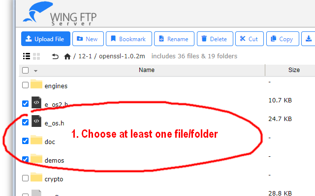 Wing Download Manager chrome谷歌浏览器插件_扩展第3张截图