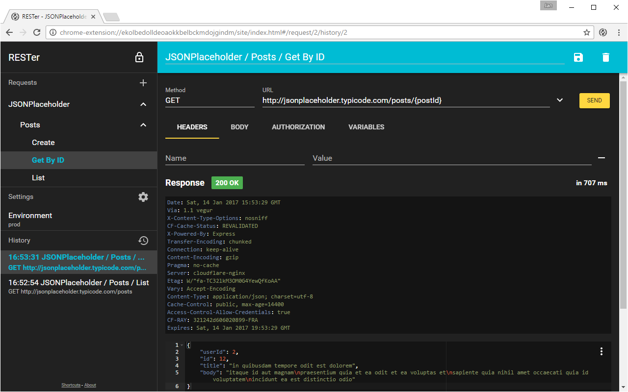 RESTer chrome谷歌浏览器插件_扩展第2张截图
