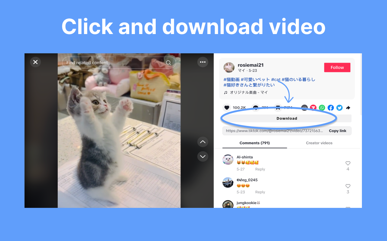 TikTok 视频下载器  | TikTok Video Downloader chrome谷歌浏览器插件_扩展第1张截图