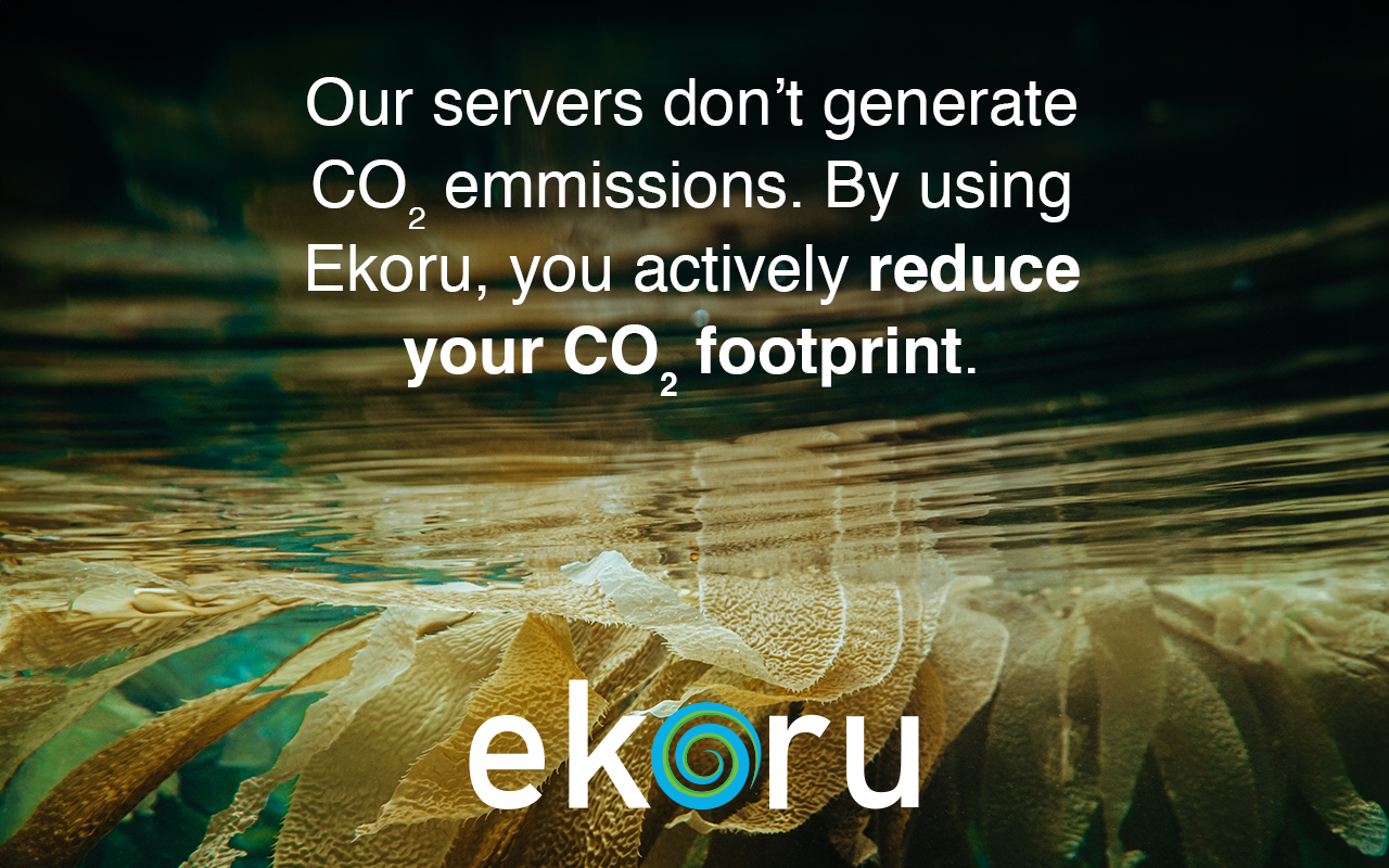 Ekoru Search chrome谷歌浏览器插件_扩展第2张截图