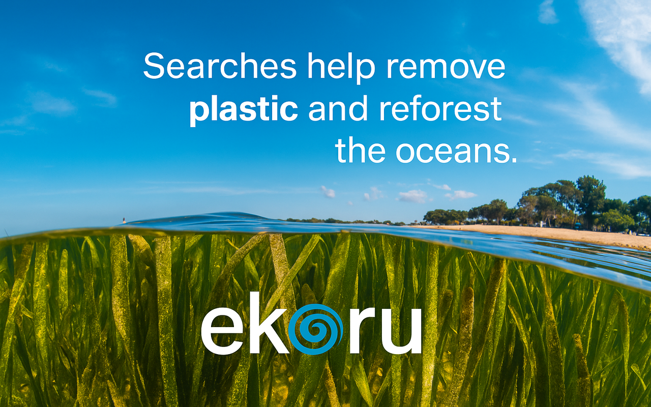 Ekoru Search chrome谷歌浏览器插件_扩展第4张截图