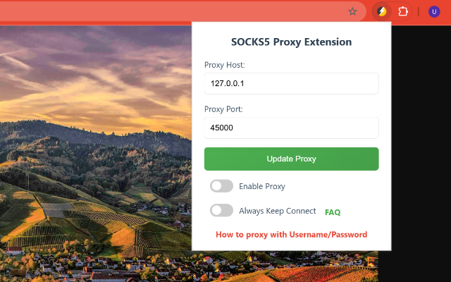 SOCKS5 Proxy chrome谷歌浏览器插件_扩展第1张截图