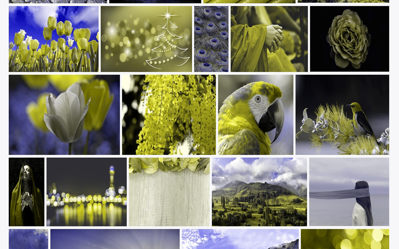 Colorblindly chrome谷歌浏览器插件_扩展第1张截图