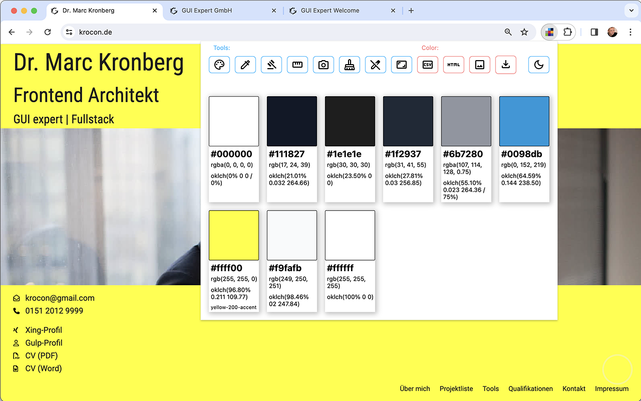 Extract Colors DevTool chrome谷歌浏览器插件_扩展第4张截图