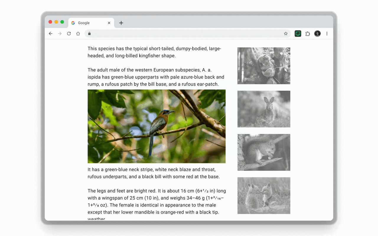 ScreenCapX - Full Page Screenshot chrome谷歌浏览器插件_扩展第1张截图