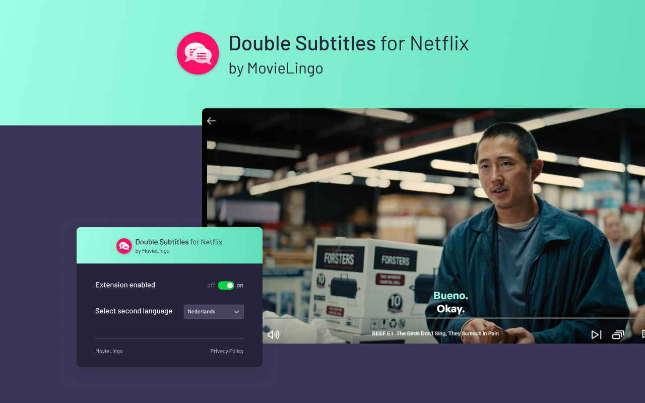 Double Subtitles for Netflix by MovieLingo chrome谷歌浏览器插件_扩展第1张截图