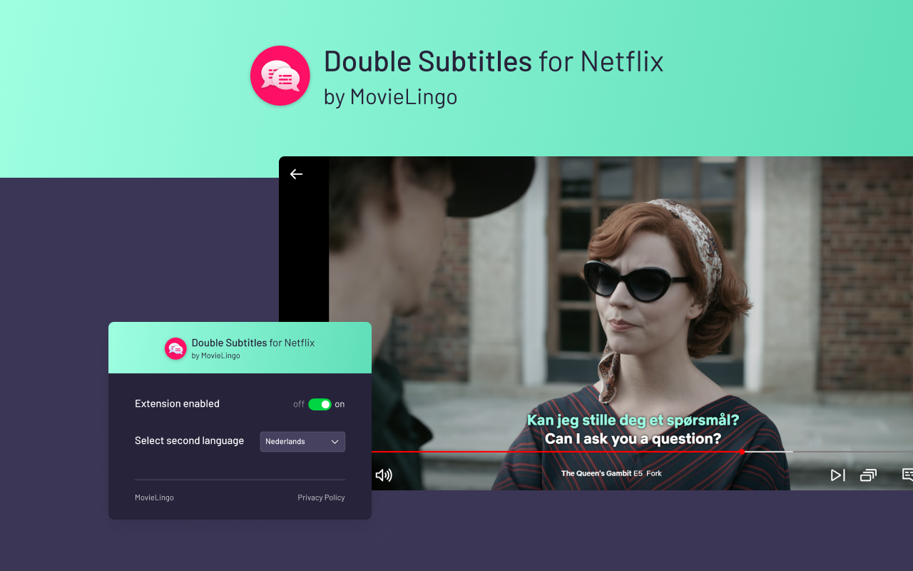Double Subtitles for Netflix by MovieLingo chrome谷歌浏览器插件_扩展第3张截图