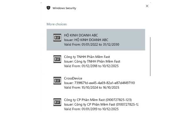 Fast-eInvoice Token Signing V3 chrome谷歌浏览器插件_扩展第2张截图