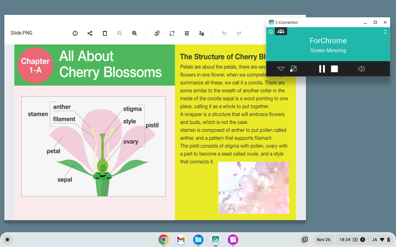 C-Connection chrome谷歌浏览器插件_扩展第1张截图