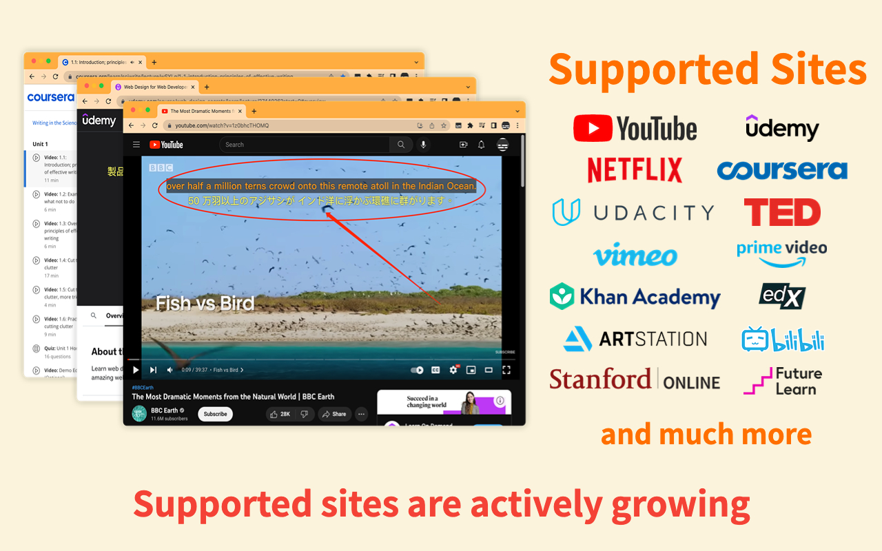 SubTrans - 通用字幕翻译套件 chrome谷歌浏览器插件_扩展第1张截图
