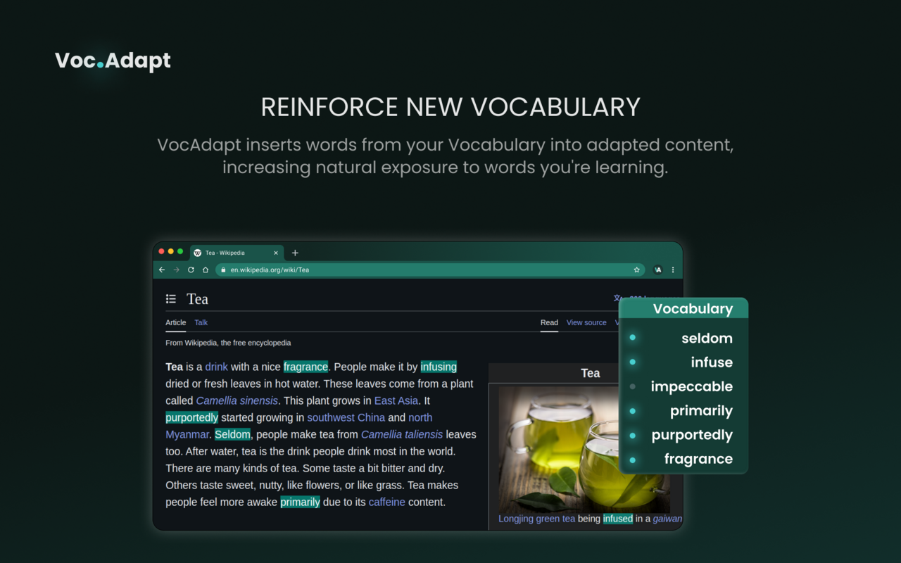 VocAdapt – Language Learning with Simplified Content chrome谷歌浏览器插件_扩展第3张截图