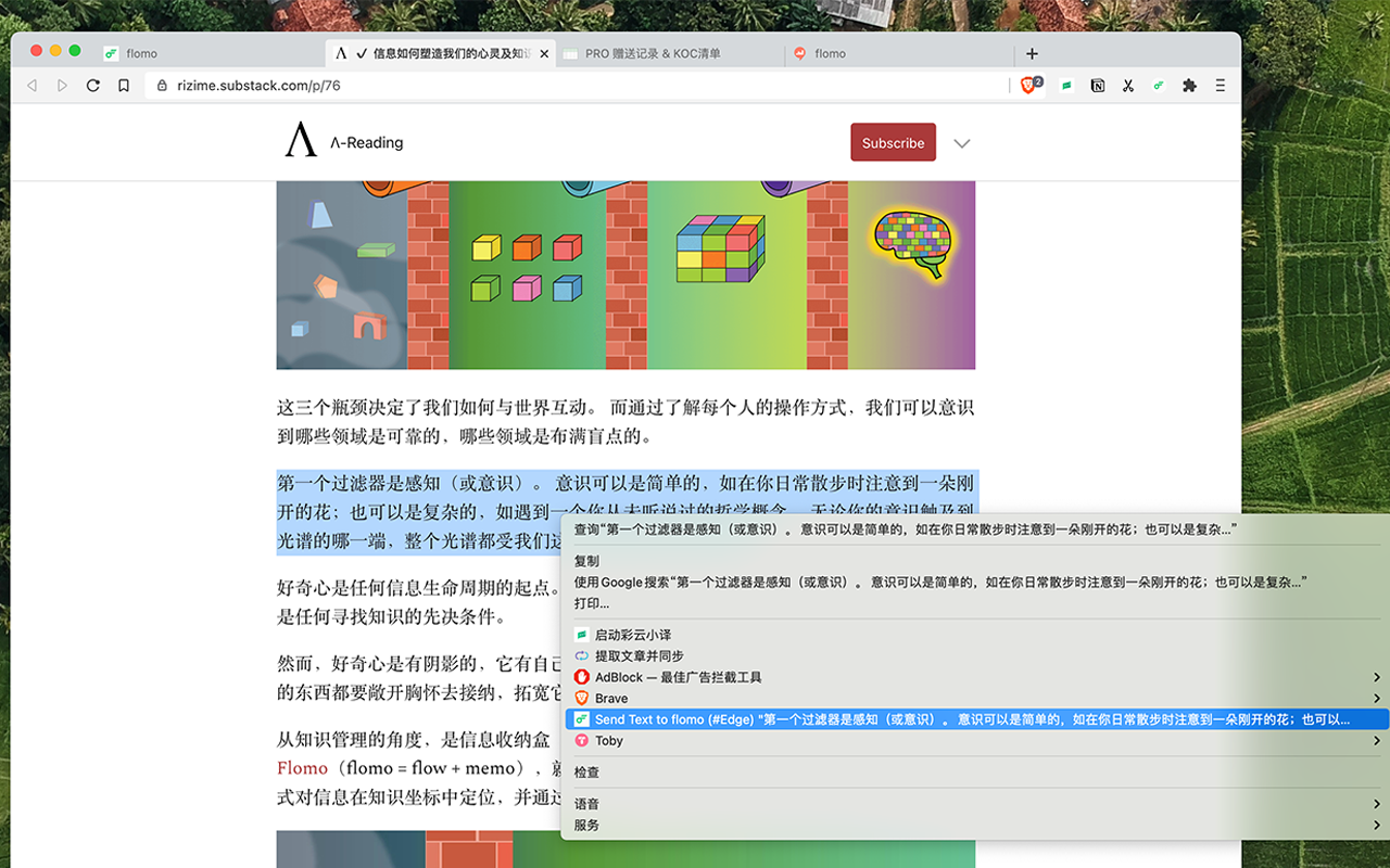 flomoplus chrome谷歌浏览器插件_扩展第2张截图