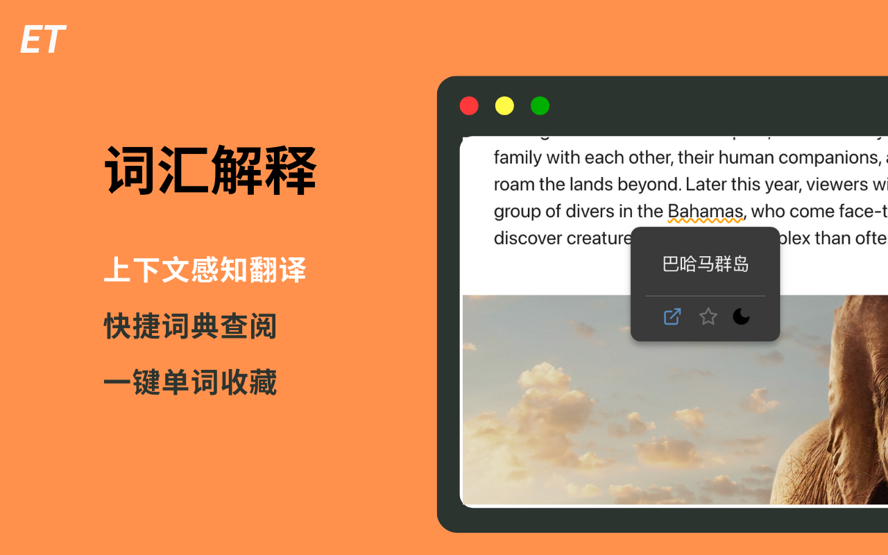 回声翻译 - AI词典 & 网页翻译 chrome谷歌浏览器插件_扩展第4张截图