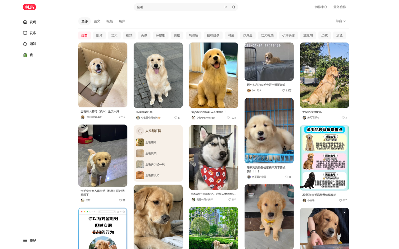 RedArchive - 小红书、抖音数据采集器 chrome谷歌浏览器插件_扩展第1张截图