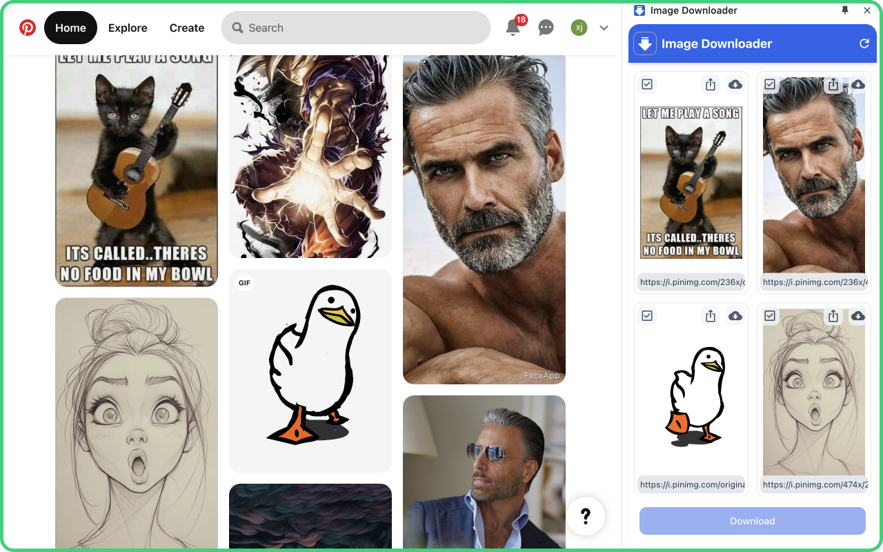 图片下载器 - 批量保存图片 chrome谷歌浏览器插件_扩展第2张截图