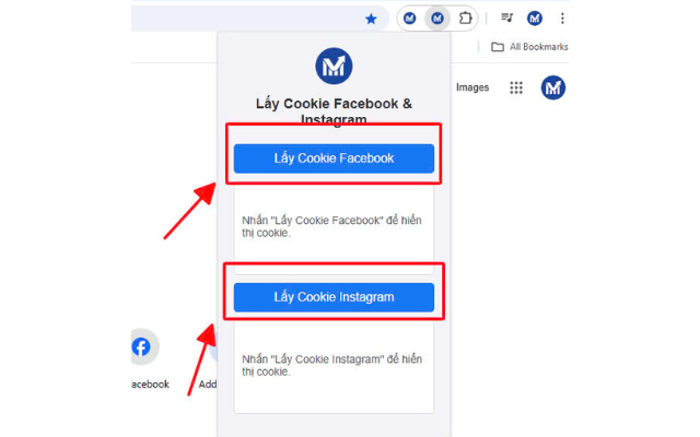 Facebook & Instagram Cookie Grabber - VSM chrome谷歌浏览器插件_扩展第1张截图