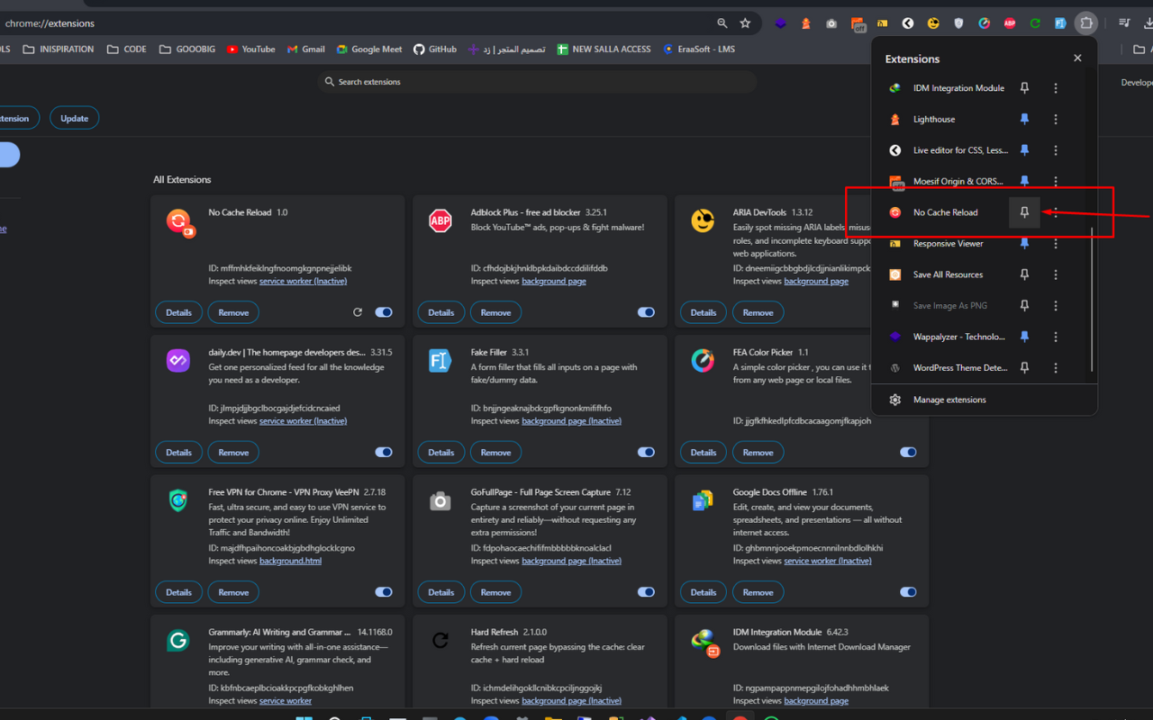 No Cache Reload chrome谷歌浏览器插件_扩展第2张截图