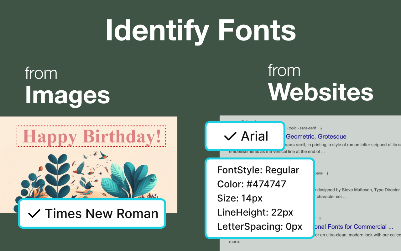 Font Finder & Identifier from Images & Web — FontXplorer chrome谷歌浏览器插件_扩展第3张截图