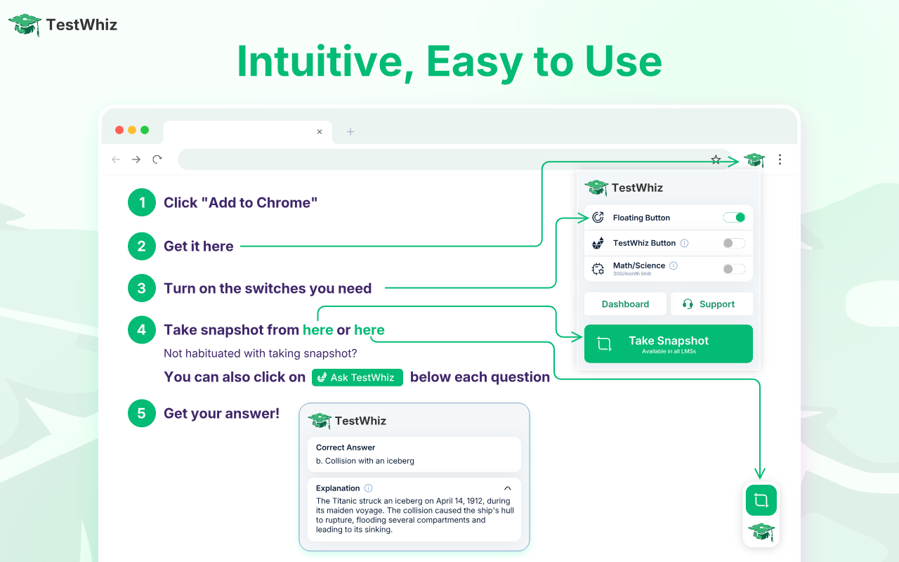 TestWhiz: AI for quizzes and assignments 📚 chrome谷歌浏览器插件_扩展第2张截图