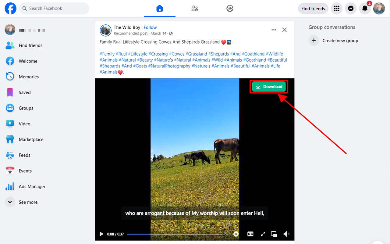 F.B Downloader (SaveF) chrome谷歌浏览器插件_扩展第1张截图