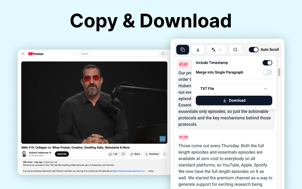 Youtube Transcript Generator chrome谷歌浏览器插件_扩展第5张截图
