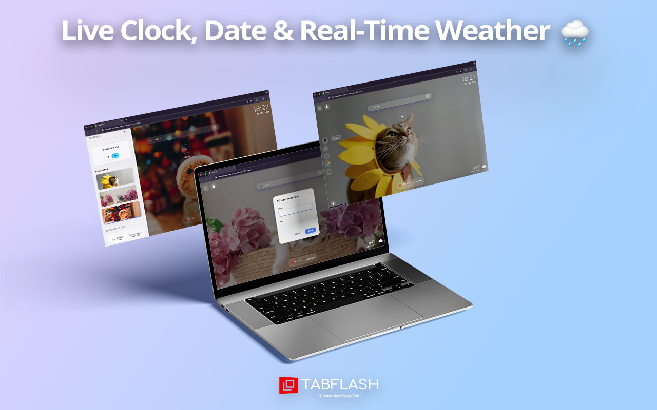 猫壁纸 - white cat wallpaper chrome谷歌浏览器插件_扩展第3张截图