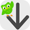 Duolingo Vocabulary Downloader LOGO 图标