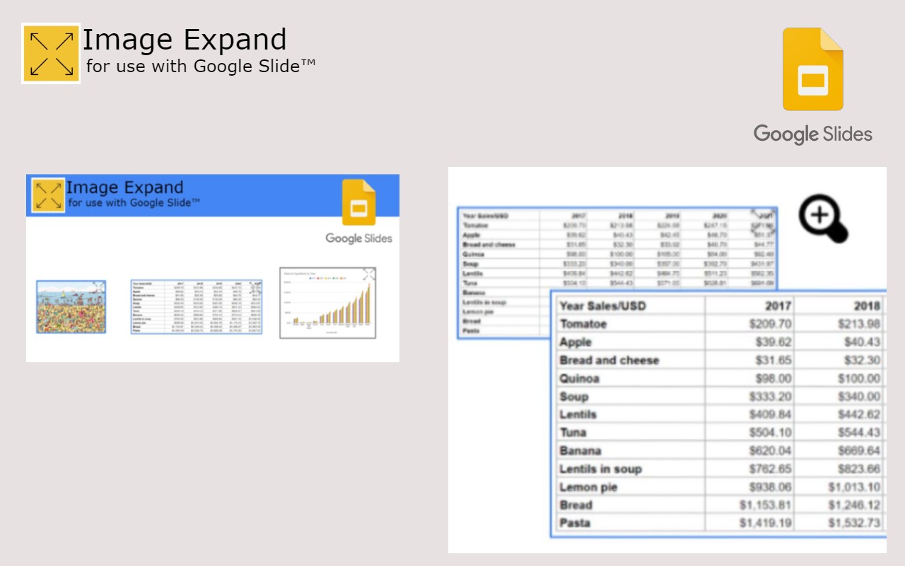 Google Slide Image Zoom chrome谷歌浏览器插件_扩展第4张截图