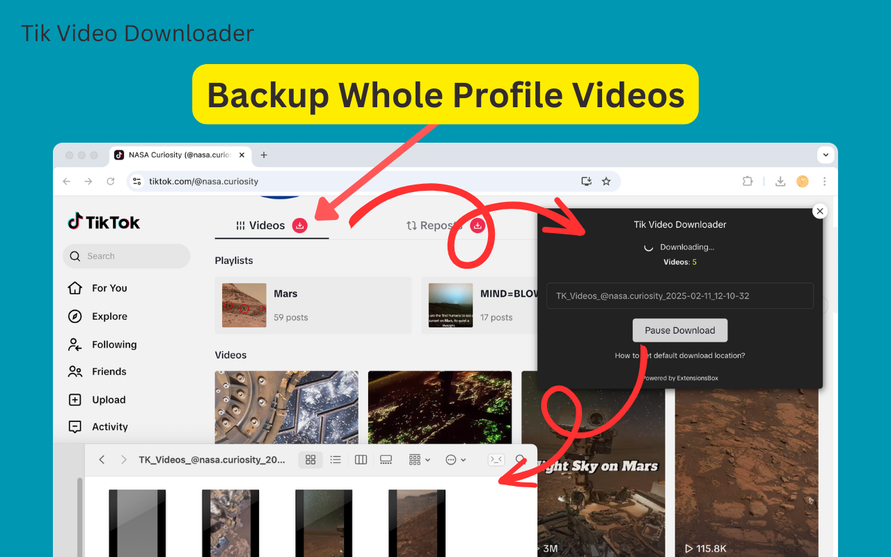 TikTok 视频下载器 chrome谷歌浏览器插件_扩展第1张截图