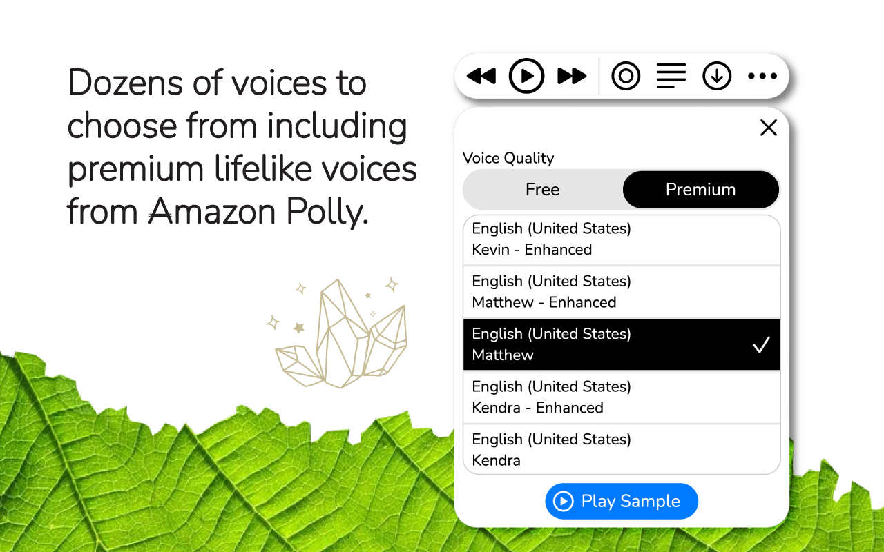 WebOutLoud - Text to Speech Web Reader chrome谷歌浏览器插件_扩展第4张截图